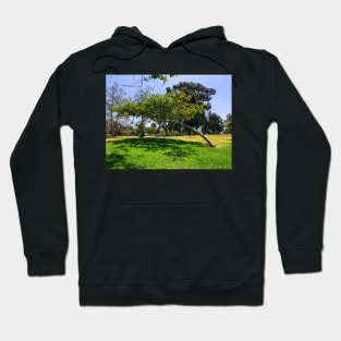 Sideways tree in Southern California Summer Hoodie